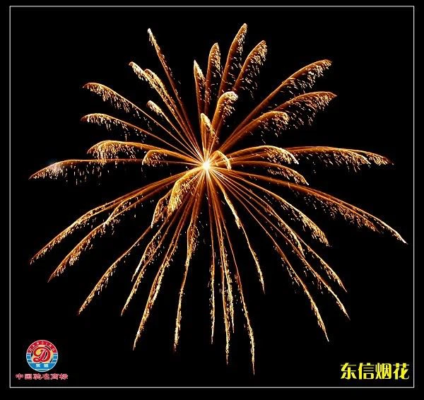 China High Quality Display Shell Fireworks Manufacturer
